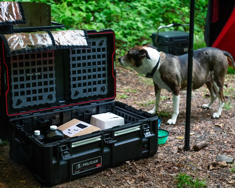 Open equipment case with photography gear next to a dog in an outdoor woodland setting
