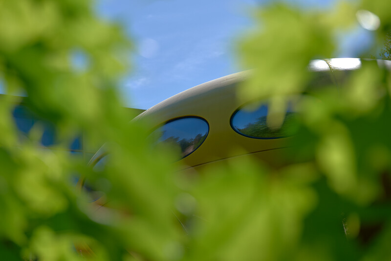 Pair of sunglasses with blue-tinted lenses partially obscured by green foliage