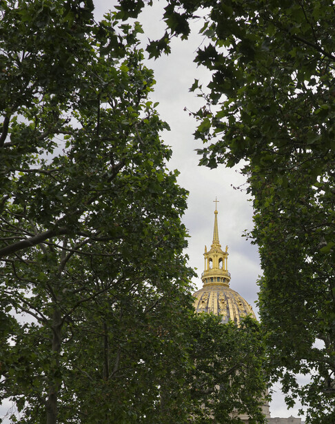 Golden dome of a classical building framed by green tree foliage