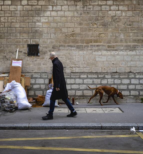 Street scene with person sitting against brick wall and dog walking past on sidewalk