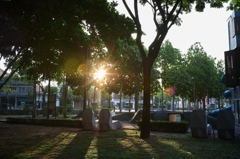 Golden hour sunlight filtering through leafy trees in an urban plaza with manicured grass