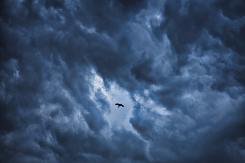 Solitary bird silhouetted against dramatic storm clouds