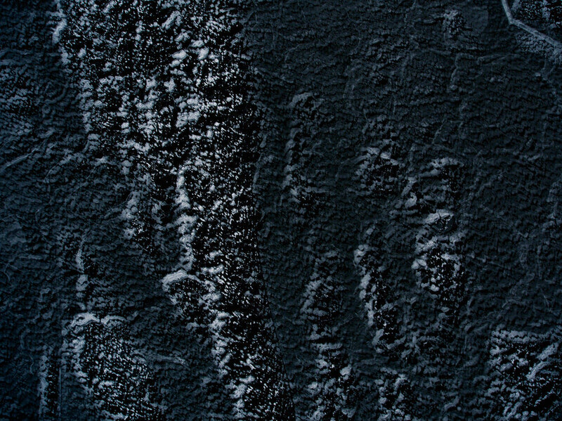 Close-up of frost-covered tree bark with vertical ridges and cracks
