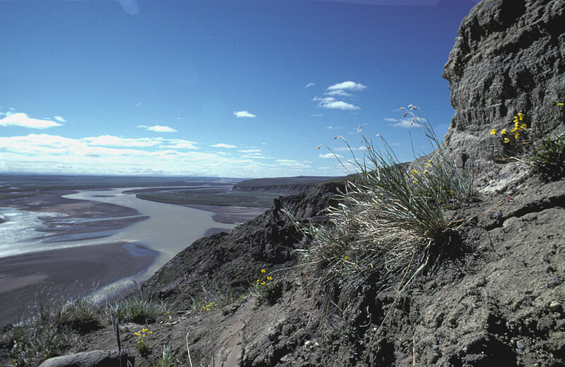 Elevated vista of a sprawling river valley with tidal mudflats beneath dramatic cliff face