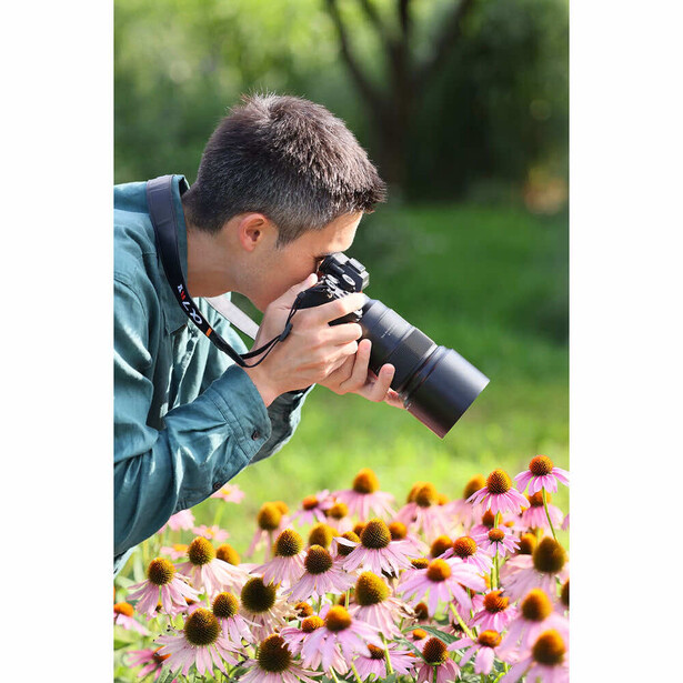 Photographer shooting macro imagery of pink and yellow coneflowers with telephoto lens