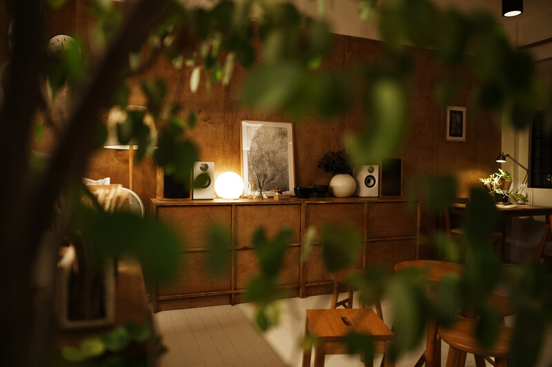 Warm interior with wooden sideboard and decorative objects, viewed through foreground plants