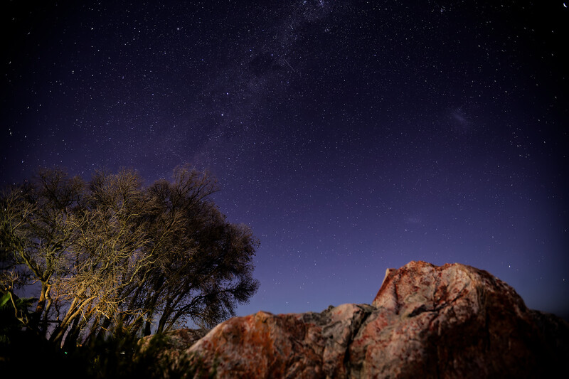 Desert landscape at night with illuminated tree on left, rocky outcrop on right, and starry sky above
