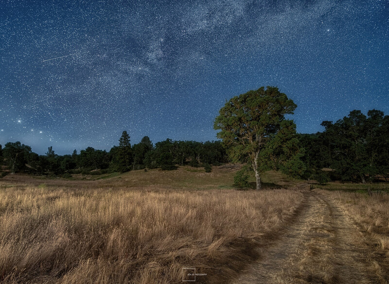 Starry night sky above a rural landscape with dirt road, golden grass field, and solitary tree