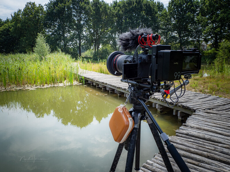 Cinema camera on tripod with monitor mounted above, positioned on wooden dock overlooking calm green water and trees