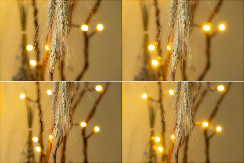 Four-panel comparison of bokeh blur effects with warm-toned decorative lights and dried grasses