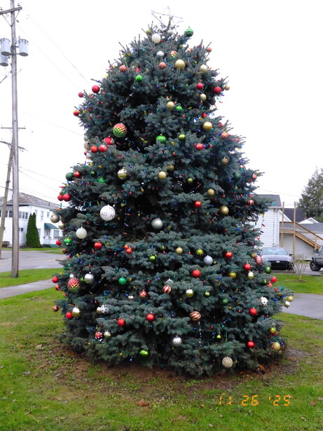 Outdoor Christmas tree decorated with red and white ornaments and garland, situated on grass near residential buildings and utility poles.