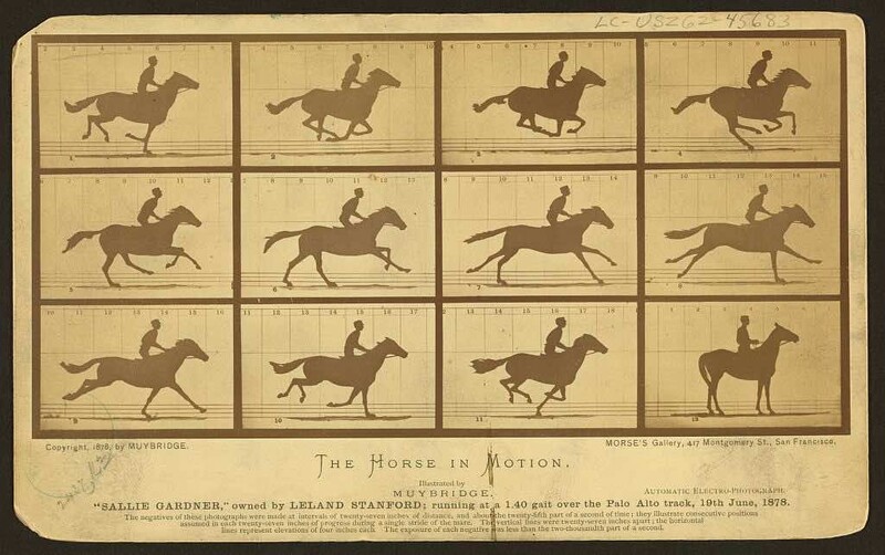 Illustration showing sequential frames of a horse and rider in motion across 12 panels
