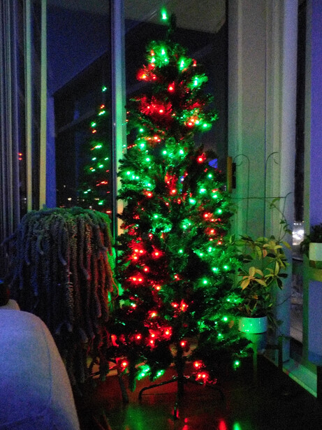Illuminated Christmas tree with red and green LED lights displayed in a window at night