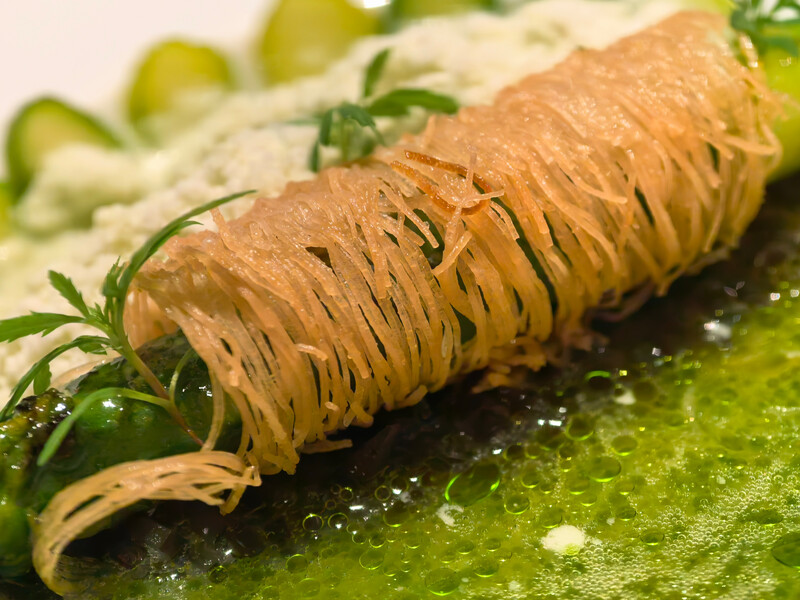 Macro photograph of a caterpillar on a bright green leaf with shallow depth of field