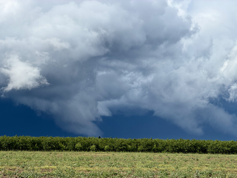 Dramatic storm clouds gathering above a flat agricultural field under darkening sky
