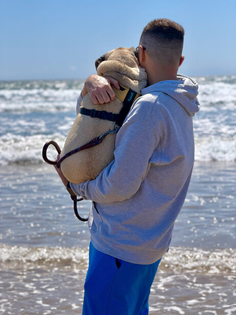 Man in blue shirt holding a pug on a beach with ocean waves in background