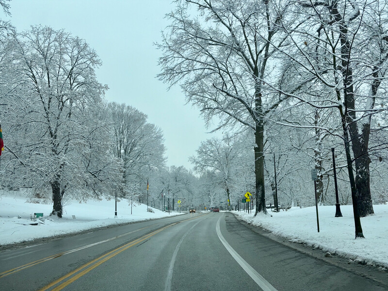 Snow-lined tree-bordered road stretching into winter distance with clear sky