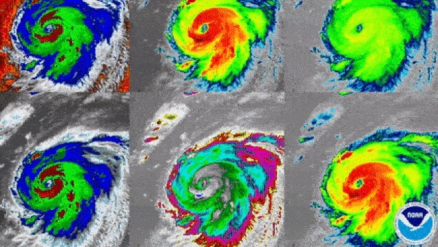 Satellite thermal imagery grid showing six hurricane/tropical cyclone visualizations with different color palettes