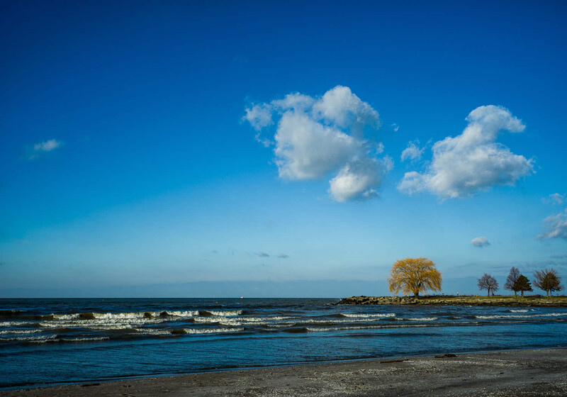 Coastal landscape with golden tree and small cluster of trees along shoreline under blue sky with white clouds