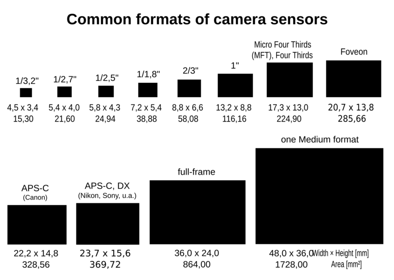 Chart comparing common camera sensor formats with dimensions and megapixel counts