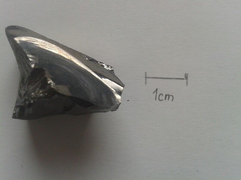 Dark metallic shark tooth fossil specimen next to 1cm scale reference
