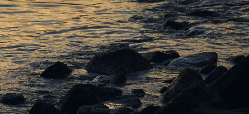 Rocky shoreline at golden hour with dark boulders emerging from backlit water