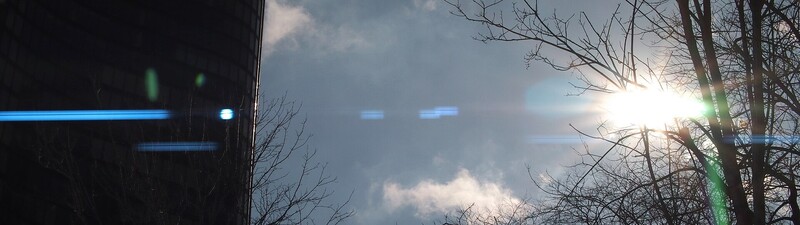 Bare winter trees silhouetted against bright sun and blue sky with neon blue light trails