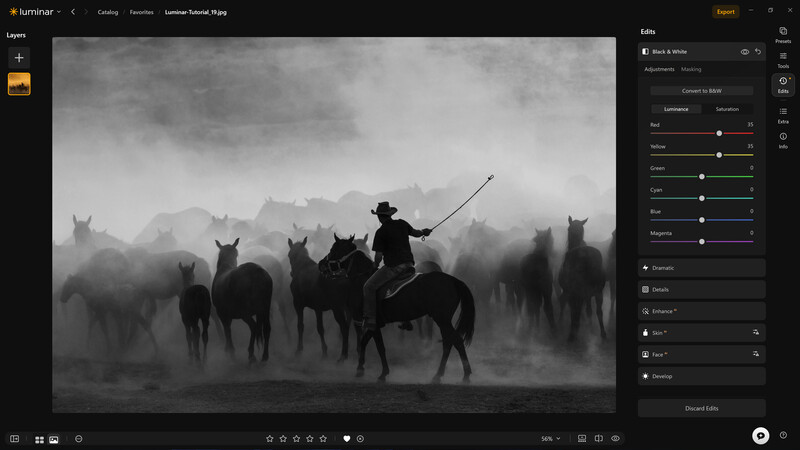 Silhouetted cowboy on horseback herding wild horses through misty landscape