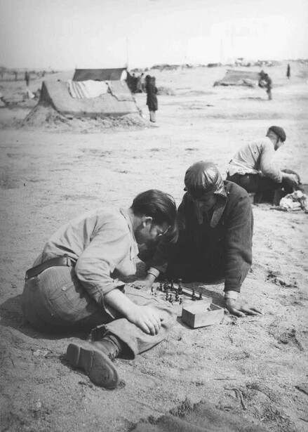 Black and white photograph of people crouched on sandy ground examining something closely