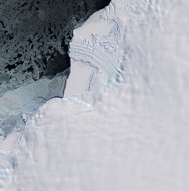 A Copernicus Sentinel-2 view of the Antarctic coast at the Dawson-Lambton Glacier, the same 10-meter imagery used to locate emperor penguin colonies from the guano they leave on the sea ice
