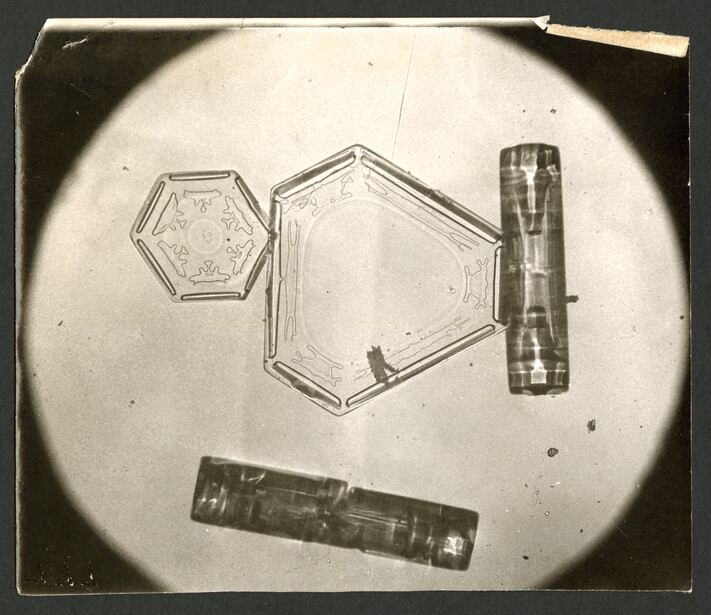 Bentley crystals that are not the familiar star: hexagonal plates alongside stout hollow columns, part of the range of forms he documented beyond the six-armed dendrite