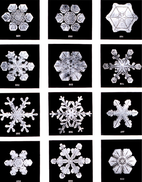 A plate of many different Bentley snow crystals, dozens of distinct six-fold designs gathered together to make the no-two-alike case, reproduced as Plate XIX of his  Studies among the Snow Crystals