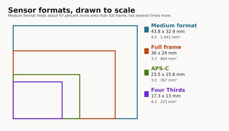The four formats drawn to scale