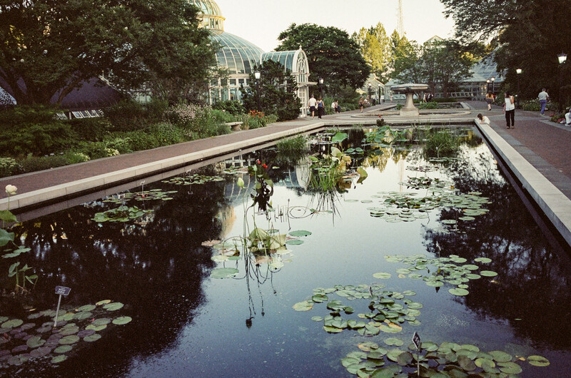 Tranquil canal with lily pads reflecting trees and buildings under natural daylight