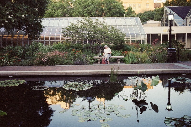 Person with pink clothing standing on wooden deck beside still pond with lily pads and greenhouse structures reflected in water
