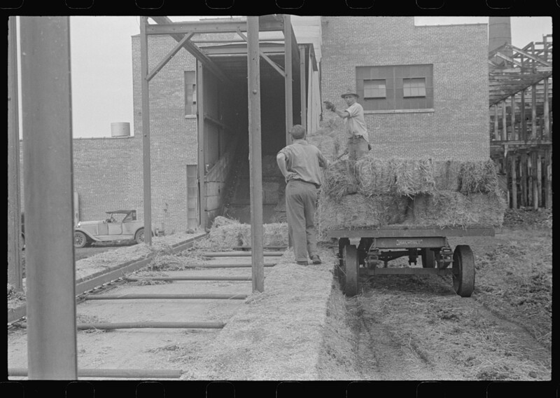 Straw baled for the Container Corporation of America strawboard plant at Circleville, Ohio, in the summer of 1938