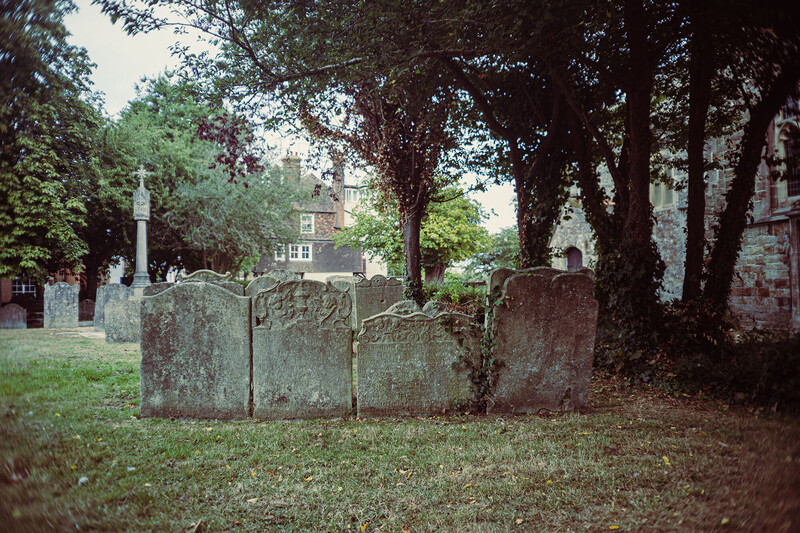 Weathered gravestones beneath large trees in a historic cemetery
