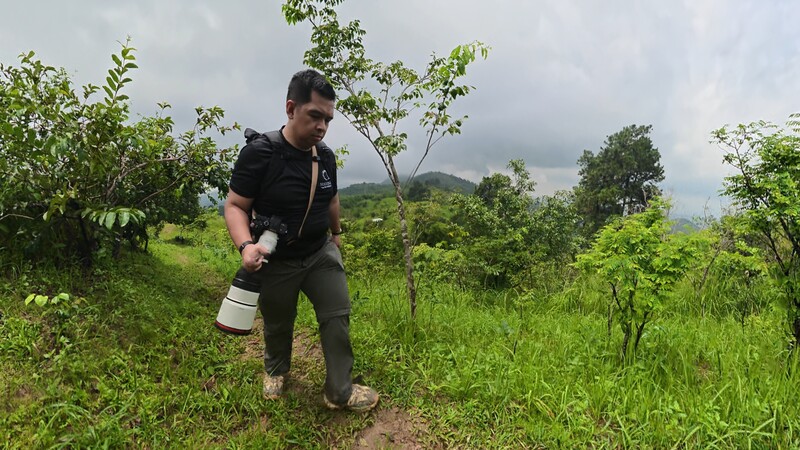 Man in black shirt walking through lush green hillside landscape with bucket in hand