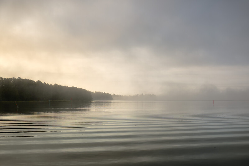 Misty morning lake with forested shoreline and calm reflective water under overcast sky
