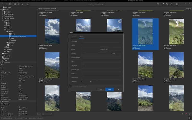 The IPTC block as a photo application presents it: Copyright, Credit, Byline, Object Name, Source and Urgency share one tab, and the Description box that carries the caption sits on the tab beside them