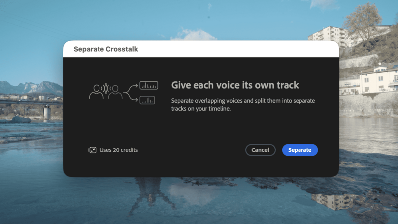 Screenshot of a dialog box for audio editing software featuring voice separation controls