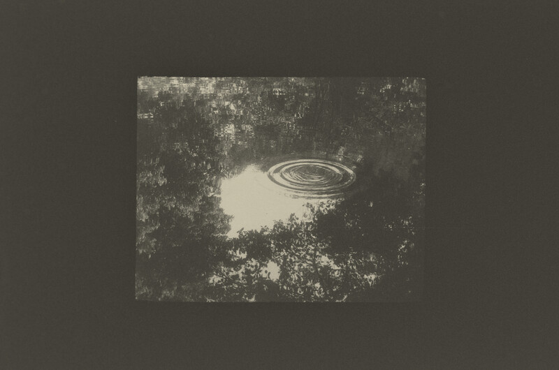 Aerial view of concentric ripples in water surrounded by trees