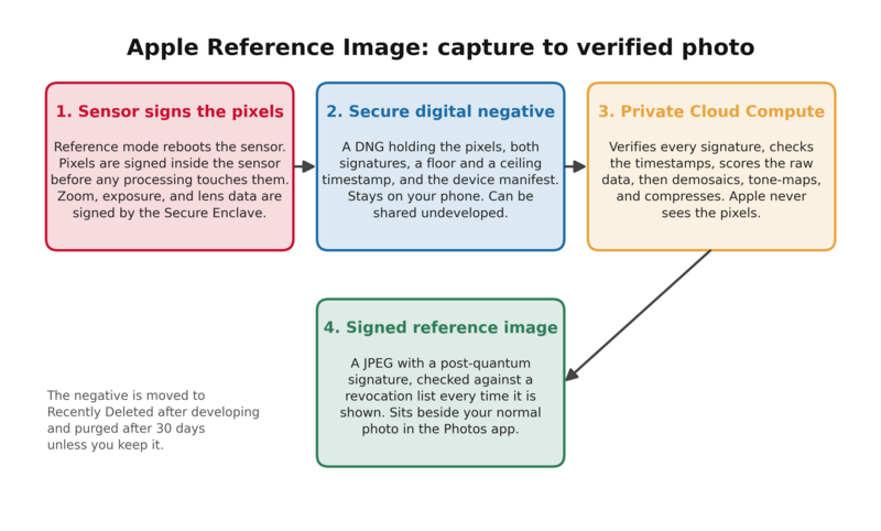 The four stages of Apple Reference Image, from sensor signature to signed JPEG