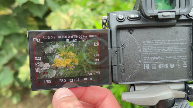 Camera screen on an overcast day reading 1/50 second, f8.0, ISO 100 for a correct exposure