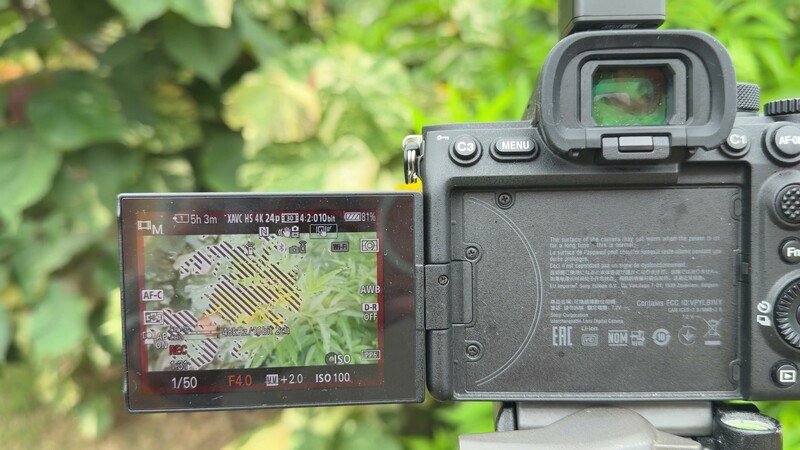 Camera screen reading 1/50 second, f4.0, ISO 100 with the meter two stops over and zebra warnings covering the frame