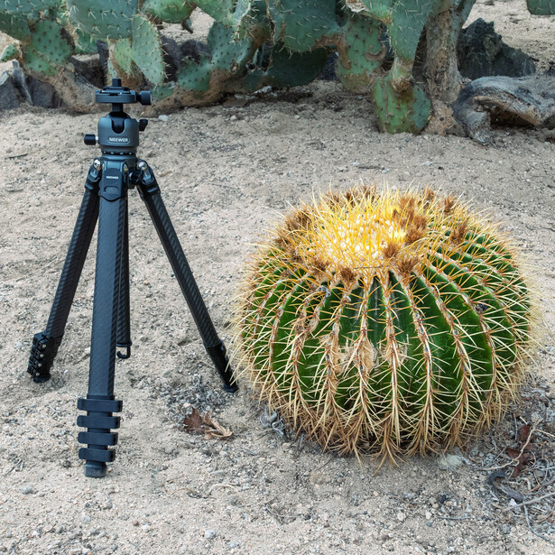 Neewer LiteTrip LT38 carbon fiber travel tripod with lever (flip) locks