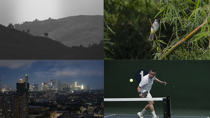 Four-image grid showing mountain landscape, bird on branch, city skyline at dusk, and tennis player in action