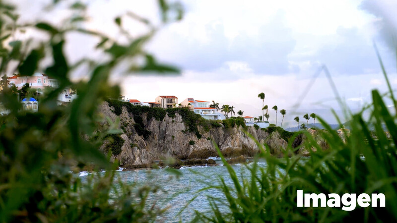 Coastal cliff-top houses with palm trees overlooking turquoise water, framed by beach grass