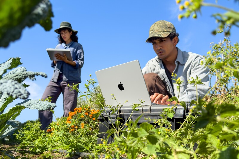 Man in a camo cap works on a silver Apple laptop in a field of green plants while a woman in a wide-brim hat holds a notebook behind him.