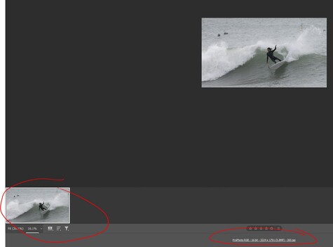 Testing Adobe's New Super Resolution on Heavily Cropped Images: What ...